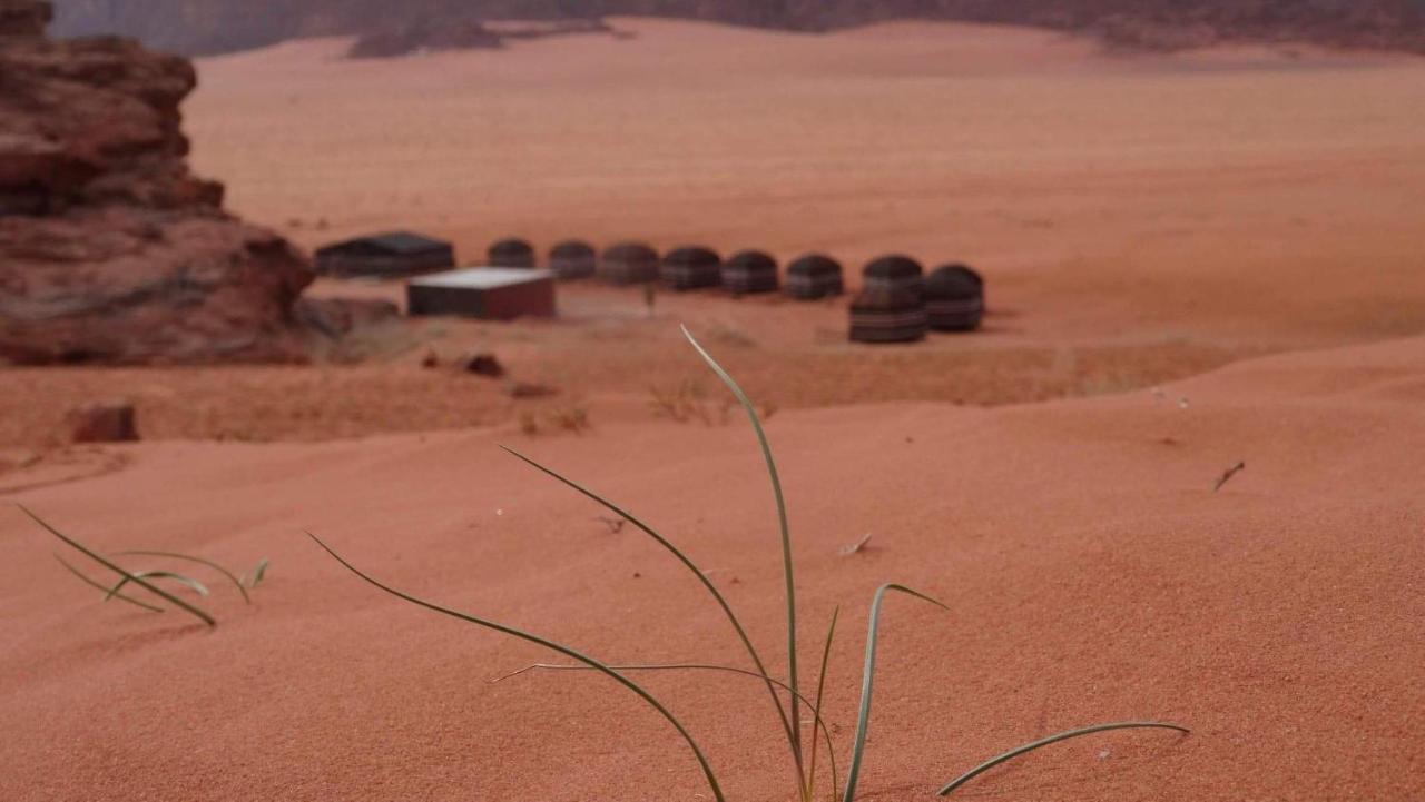 Hala Rum Camp Wadi Rum Exterior foto